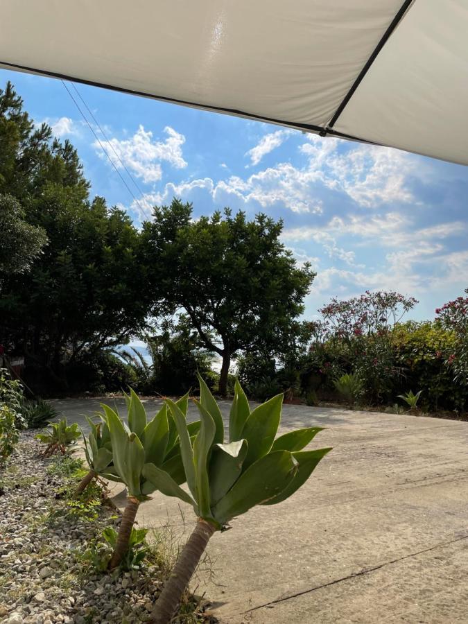 Casa Vacanze Piedigrotta Villa Пицо Екстериор снимка